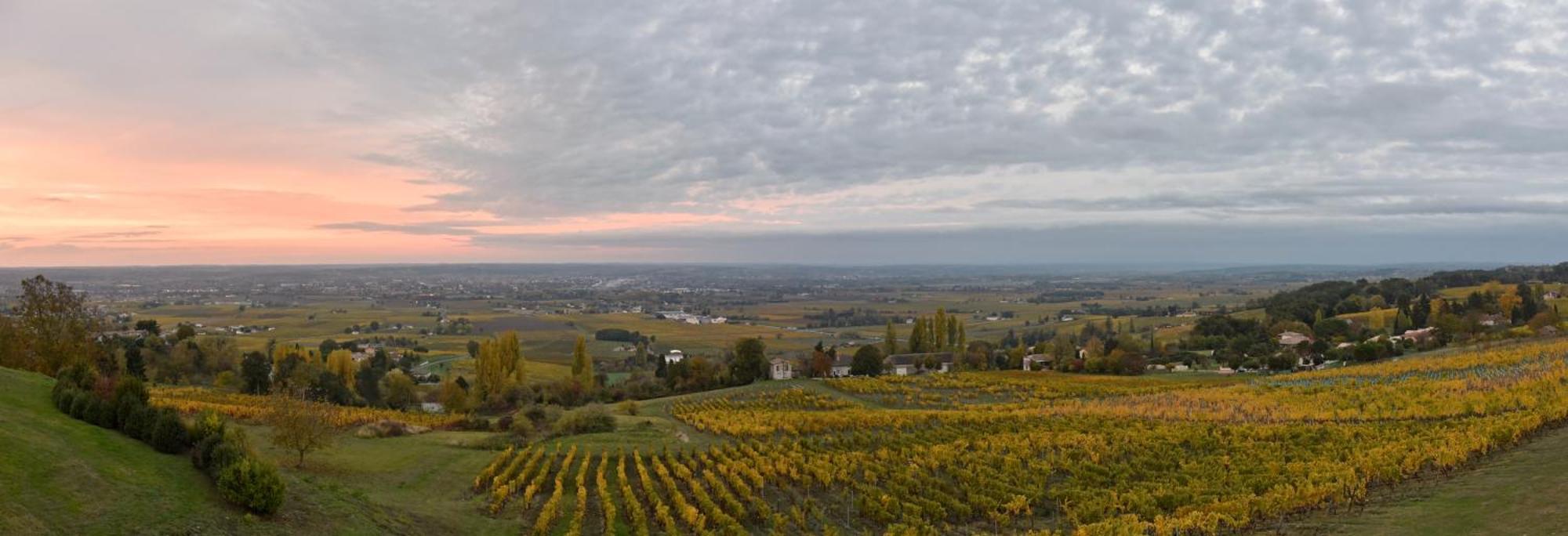 Le Domaine De La Tour Des Vents Bed and Breakfast Bergerac Buitenkant foto