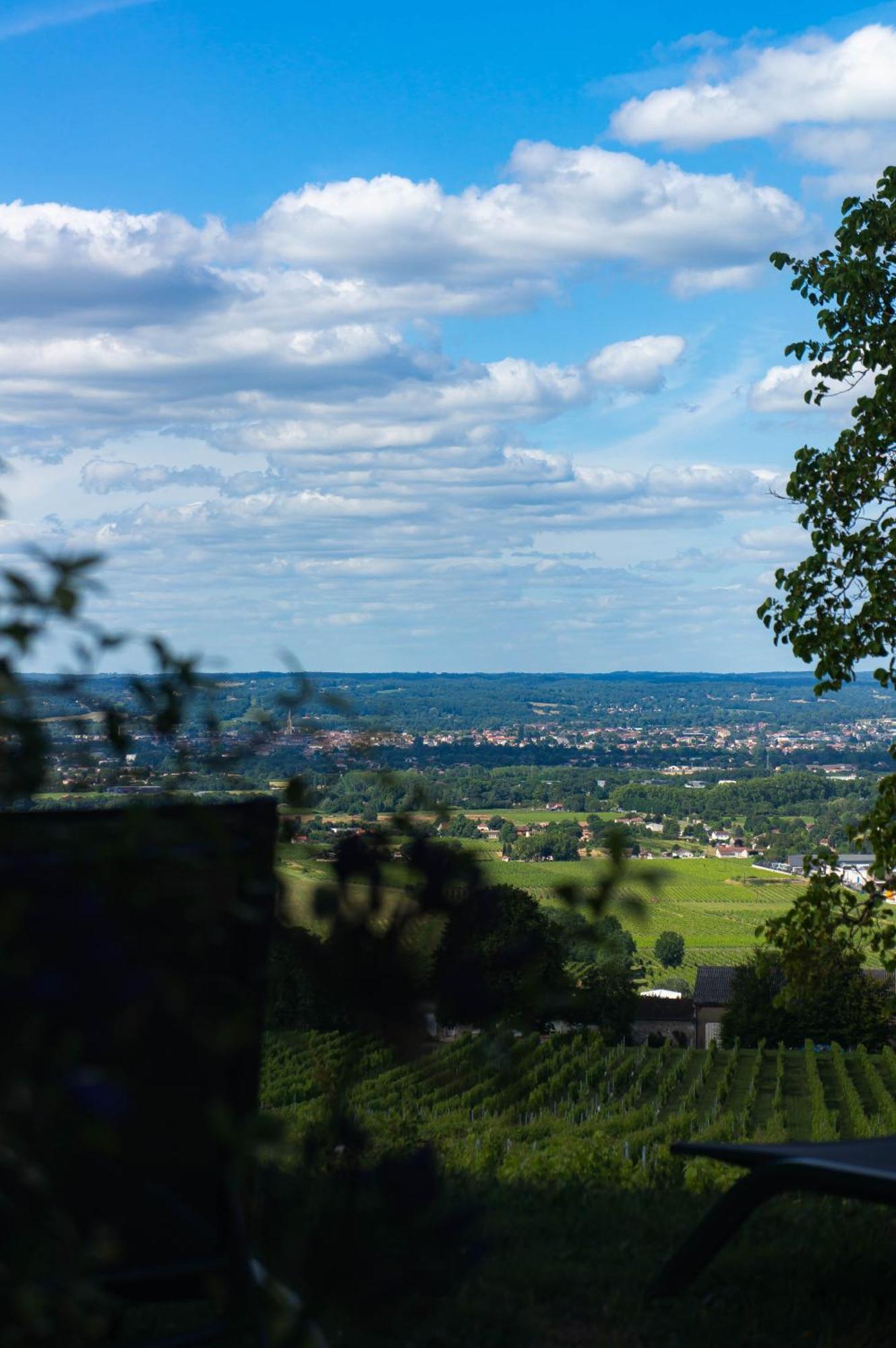 Le Domaine De La Tour Des Vents Bed and Breakfast Bergerac Buitenkant foto