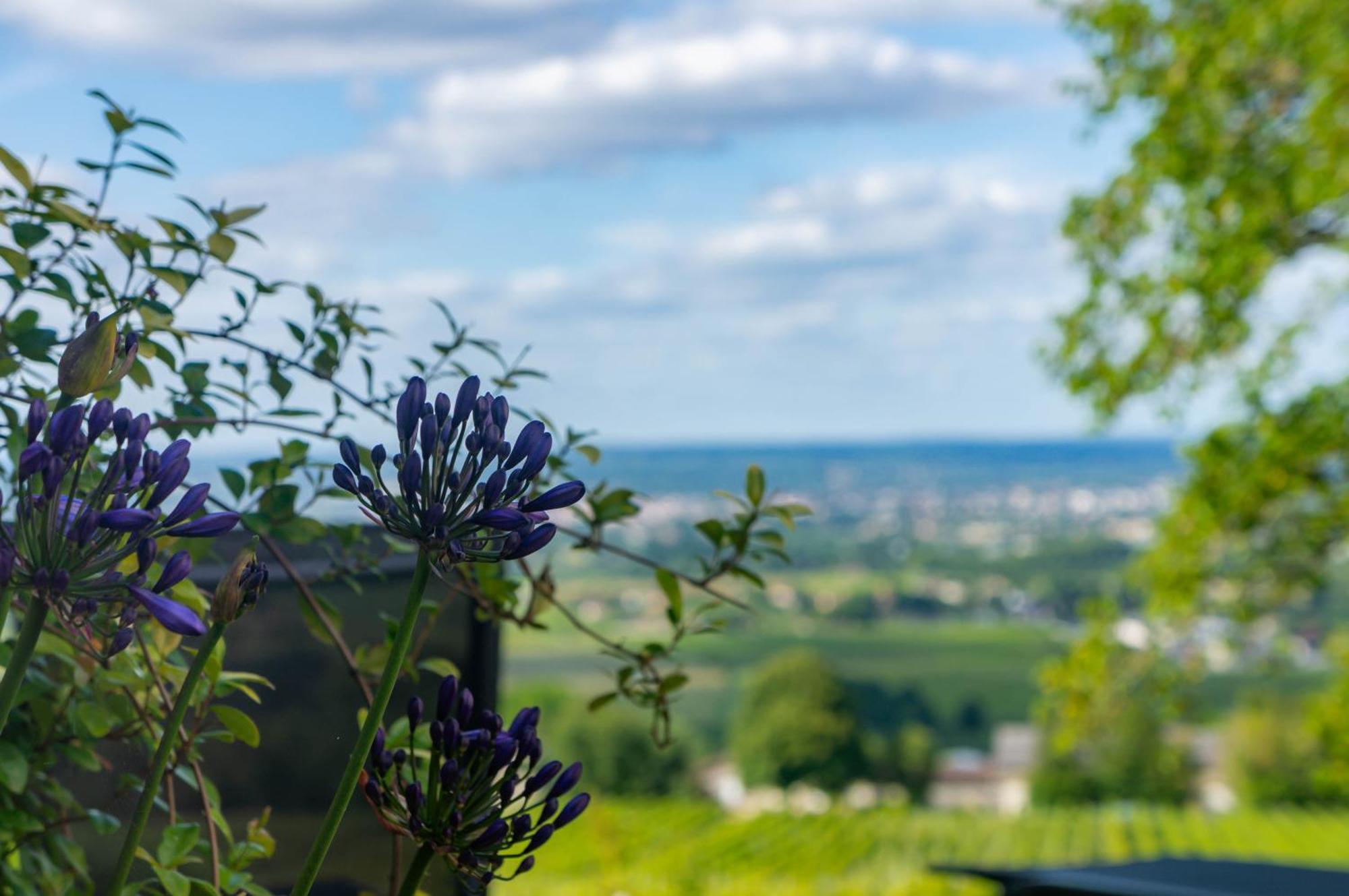 Le Domaine De La Tour Des Vents Bed and Breakfast Bergerac Buitenkant foto